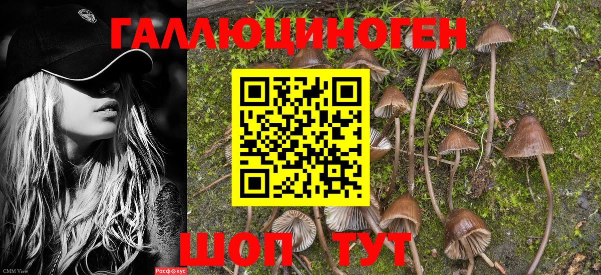 Псилоцибиновые грибы Cubensis Соликамск